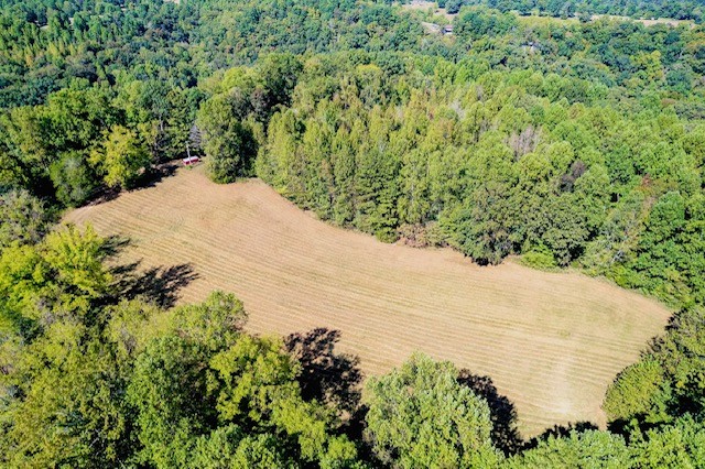0 Bolestown Loop Property Photo 7