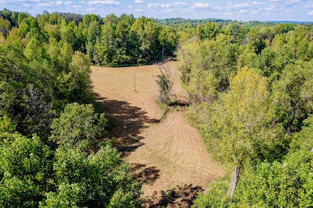 0 Bolestown Loop Property Photo 18