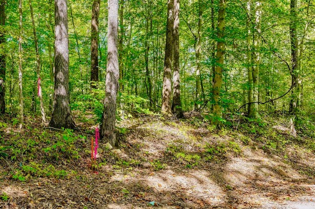0 Bolestown Loop Lot 3 Property Photo 1