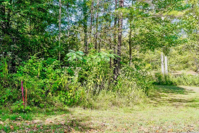 0 Bolestown Loop Lot 4 Property Photo 1