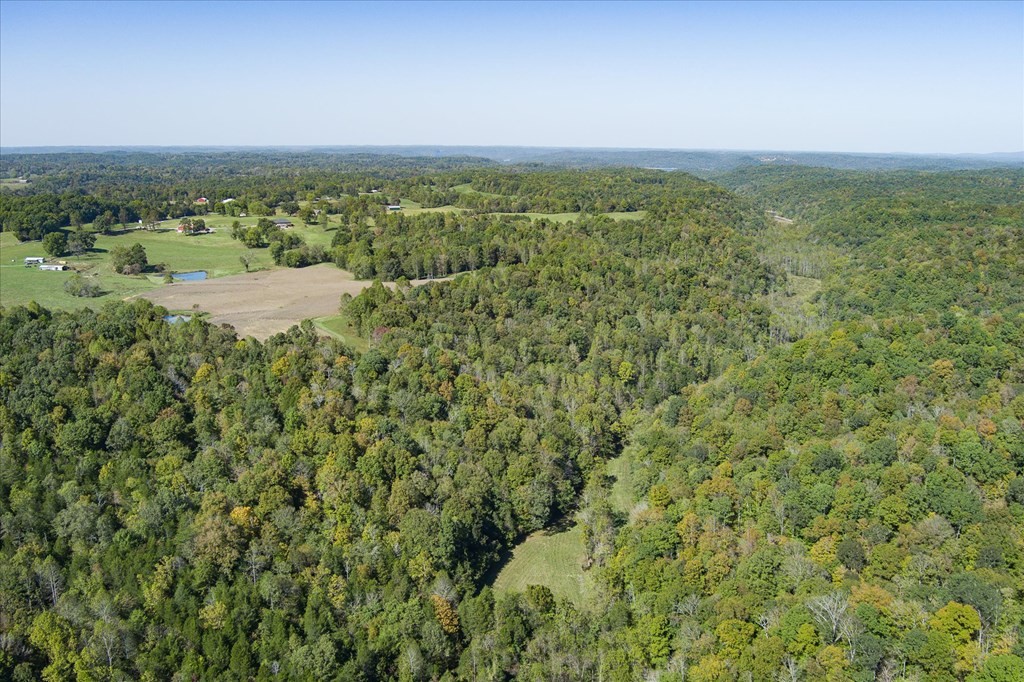 9676 Heard Ridge Rd Property Photo 63