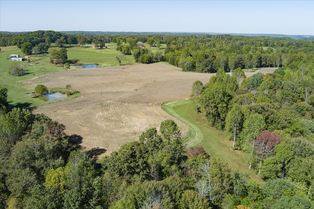 9676 Heard Ridge Rd Property Photo 64