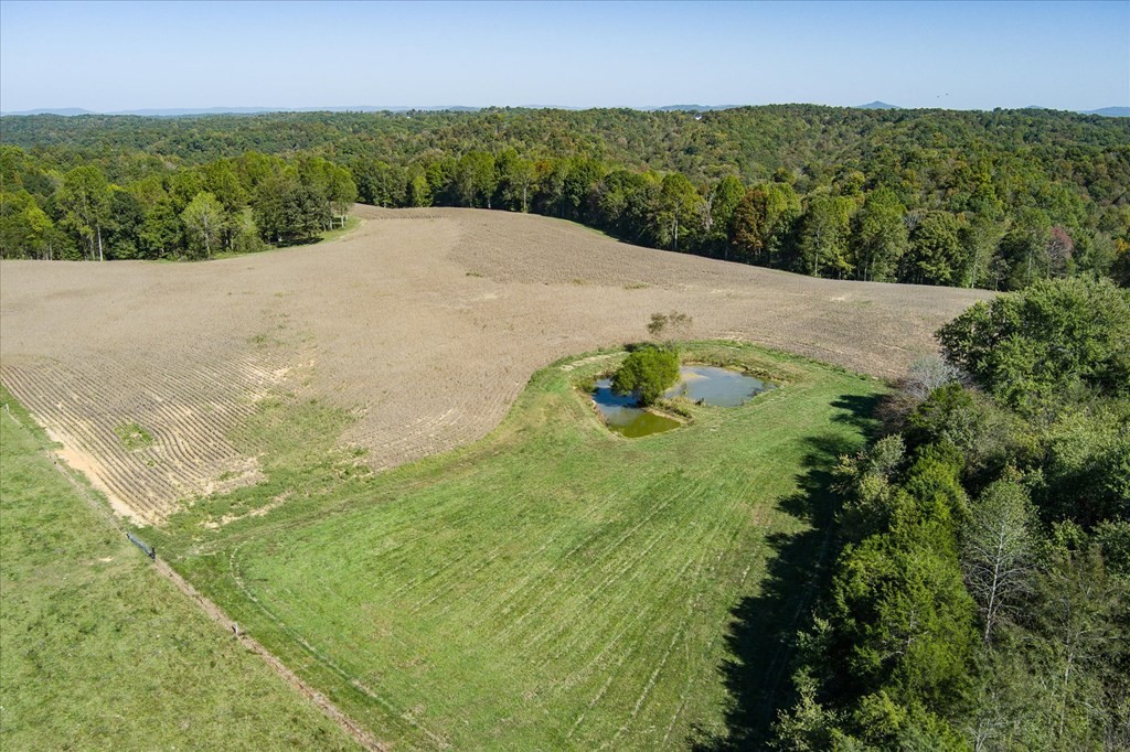 9676 Heard Ridge Rd Property Photo 67