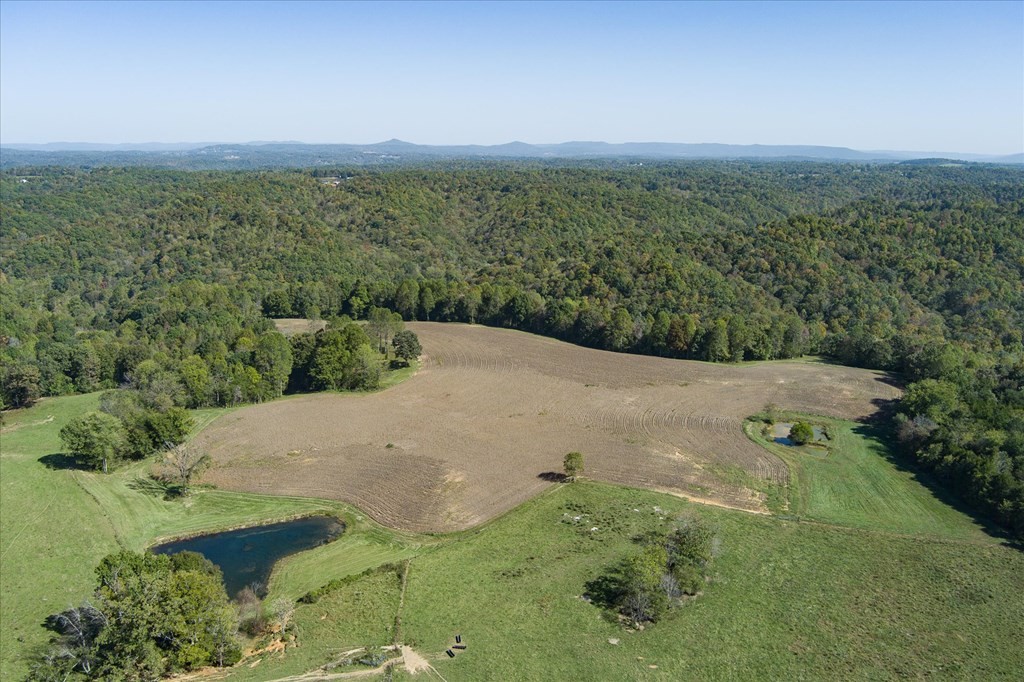 9676 Heard Ridge Rd Property Photo 68