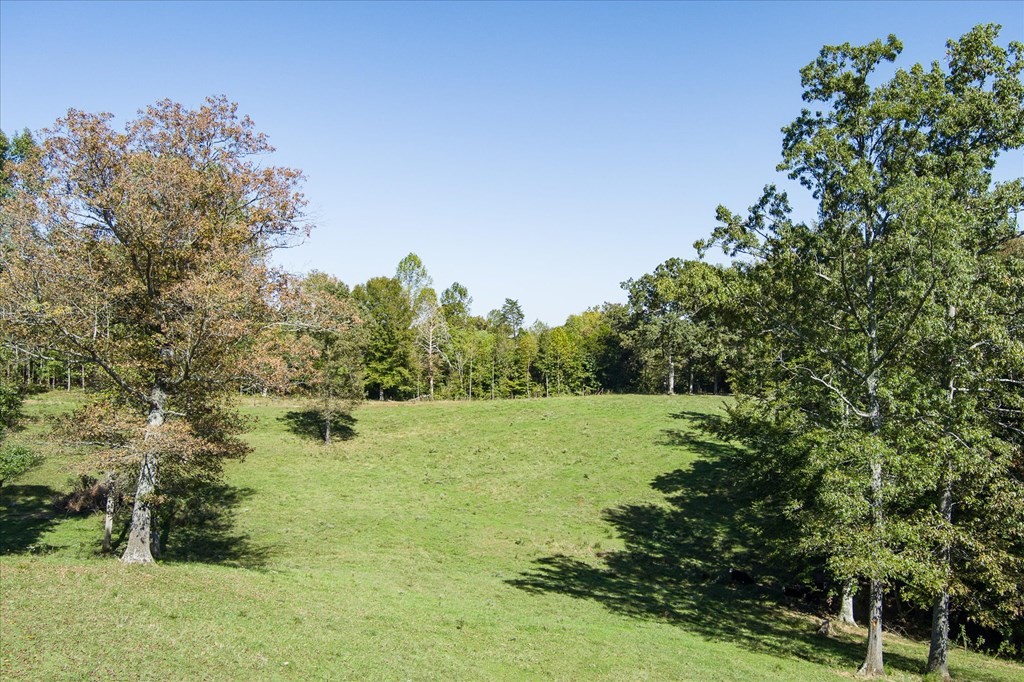 9676 Heard Ridge Rd Property Photo 71