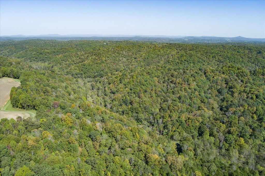 9676 Heard Ridge Rd Property Photo 73