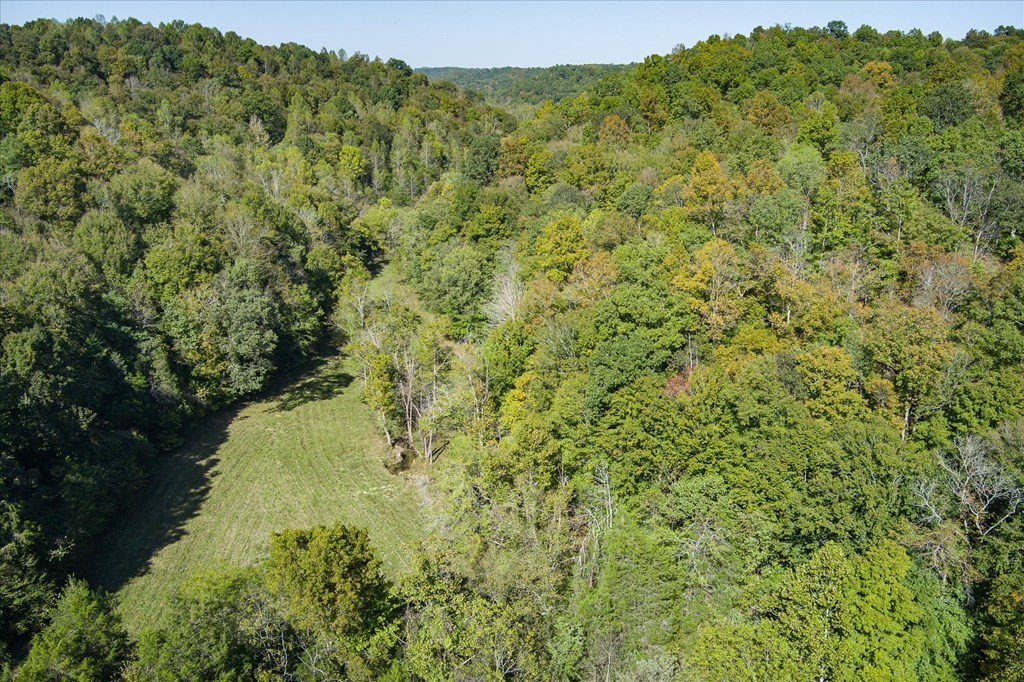 9676 Heard Ridge Rd Property Photo 78
