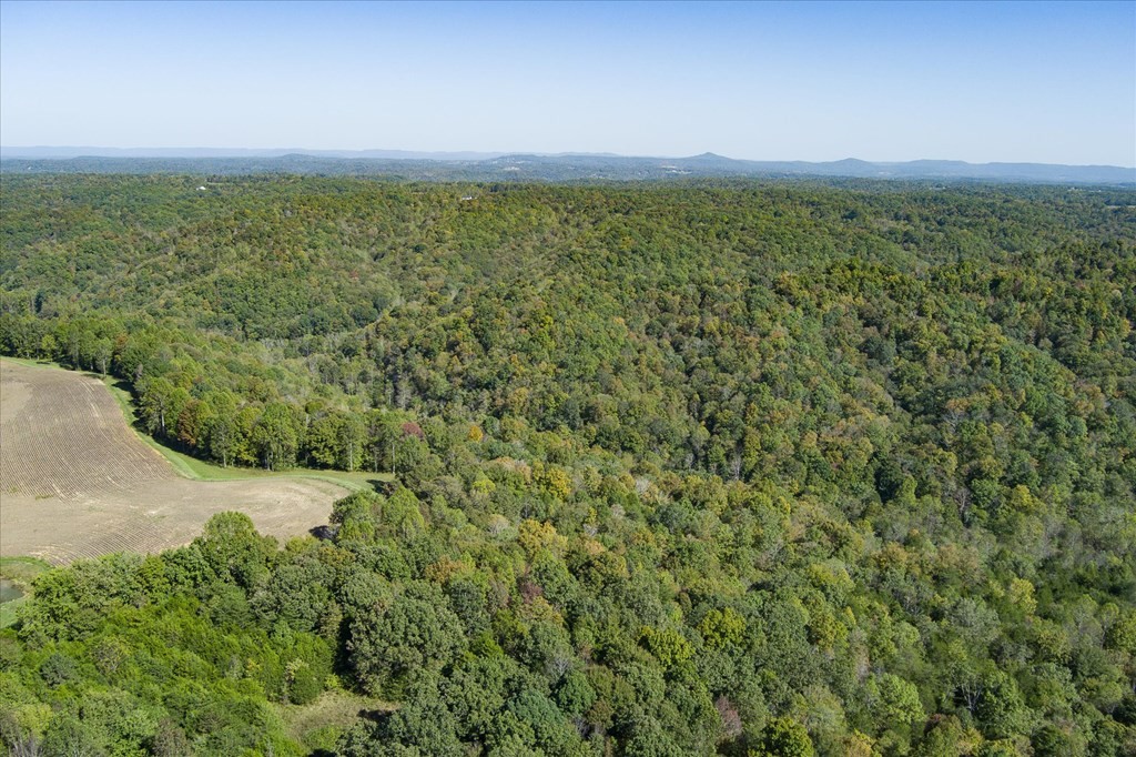 9676 Heard Ridge Rd Property Photo 81