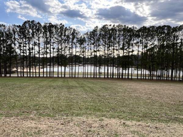 0 Dry Fork Dr Property Photo 8