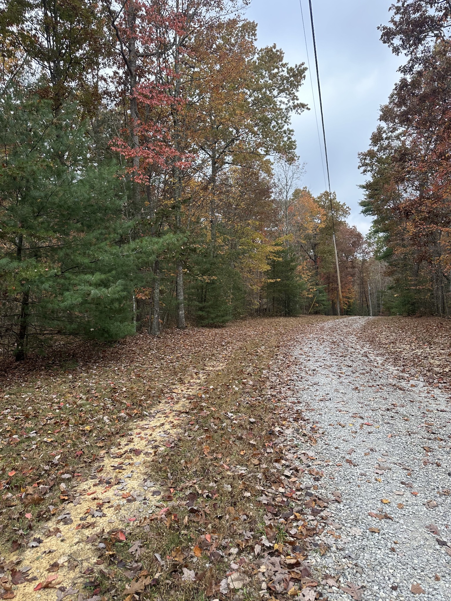 0 Doe Ridge Lane Property Photo 3