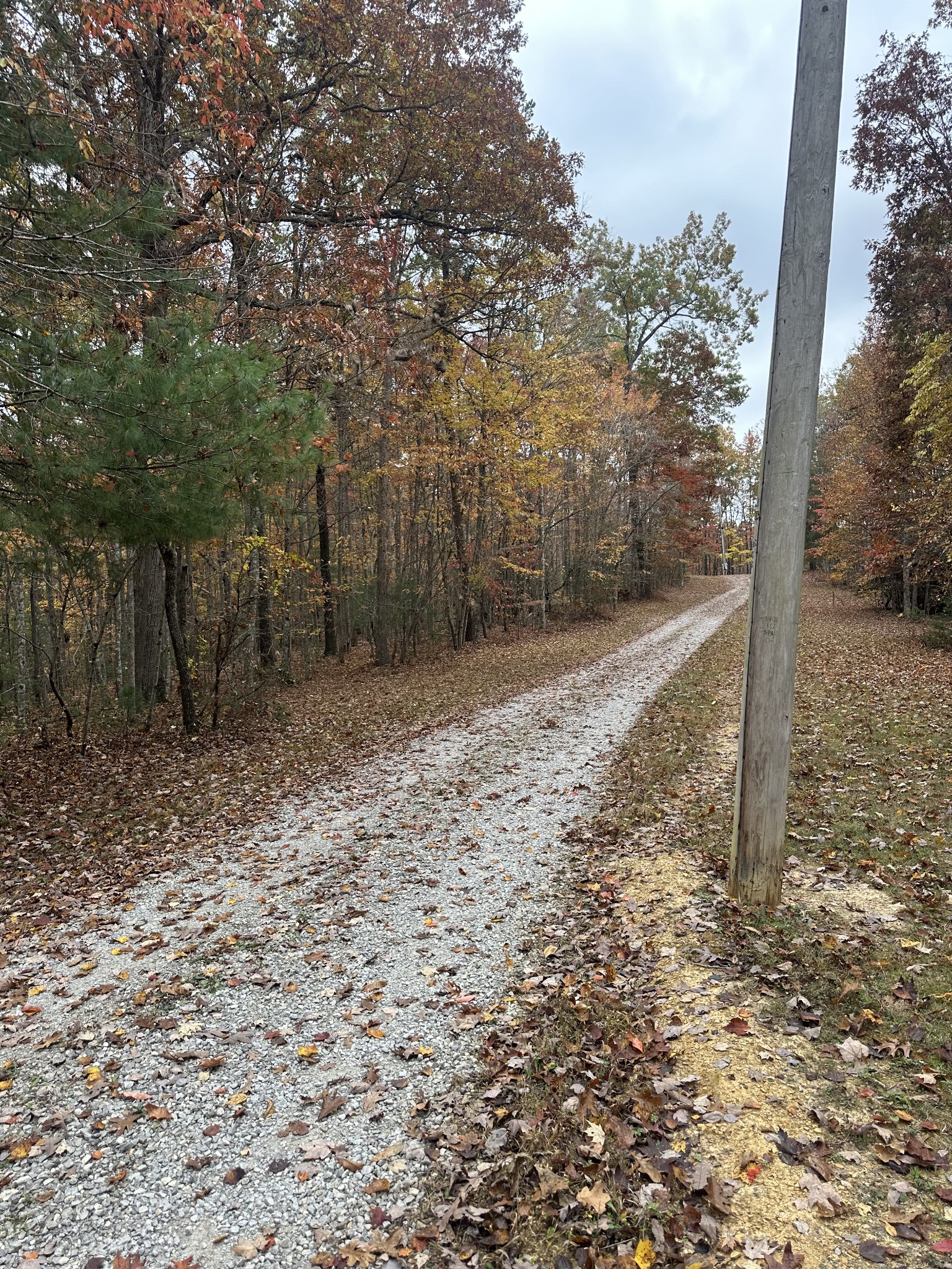 0 Doe Ridge Lane Property Photo 4