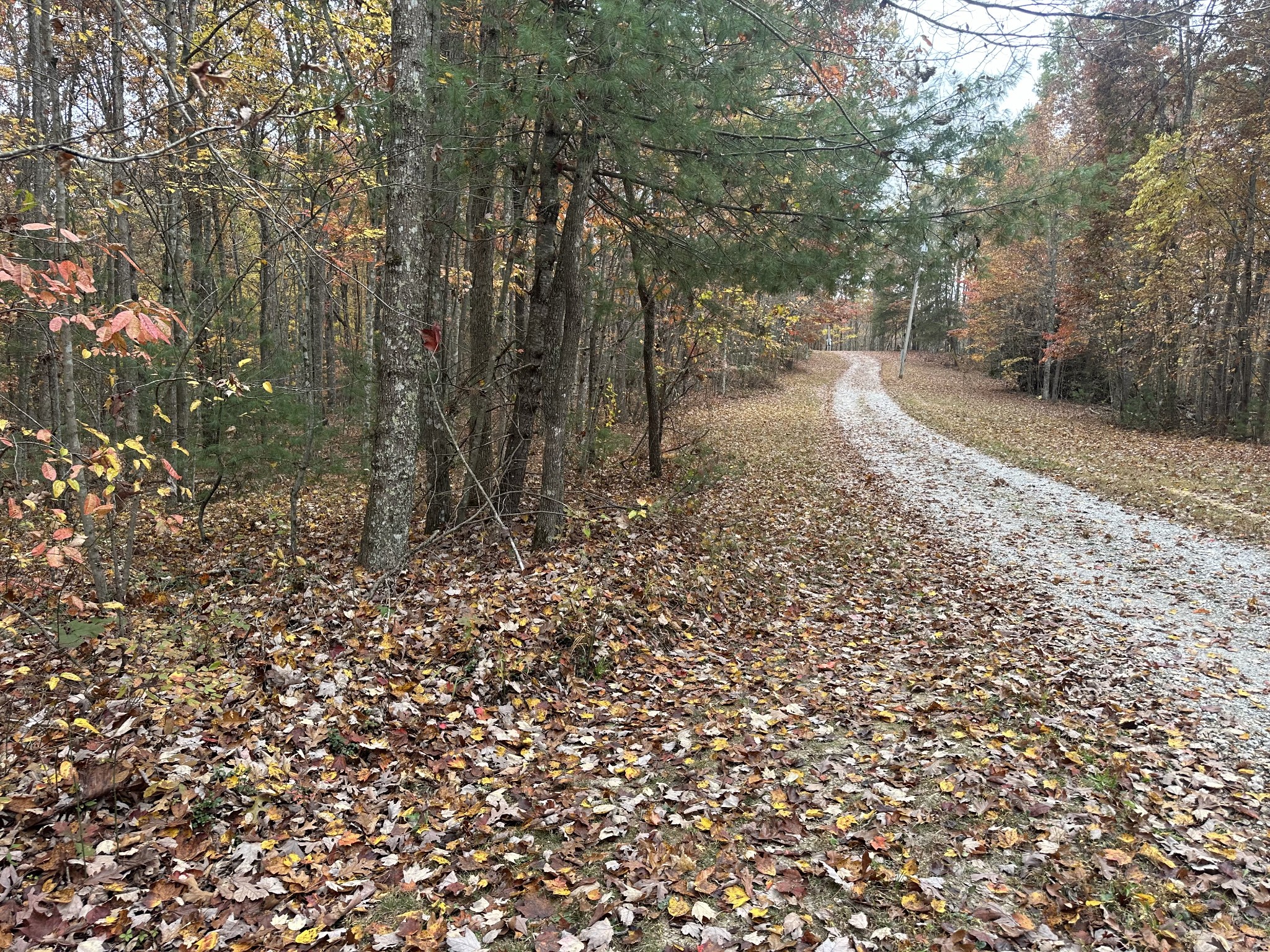 0 Doe Ridge Lane Property Photo 6