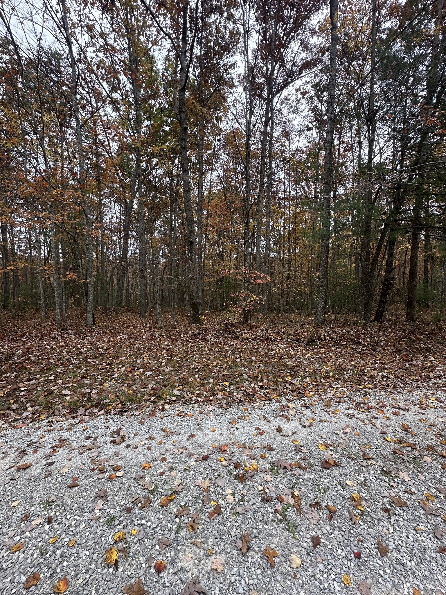 0 Doe Ridge Lane Property Photo 7