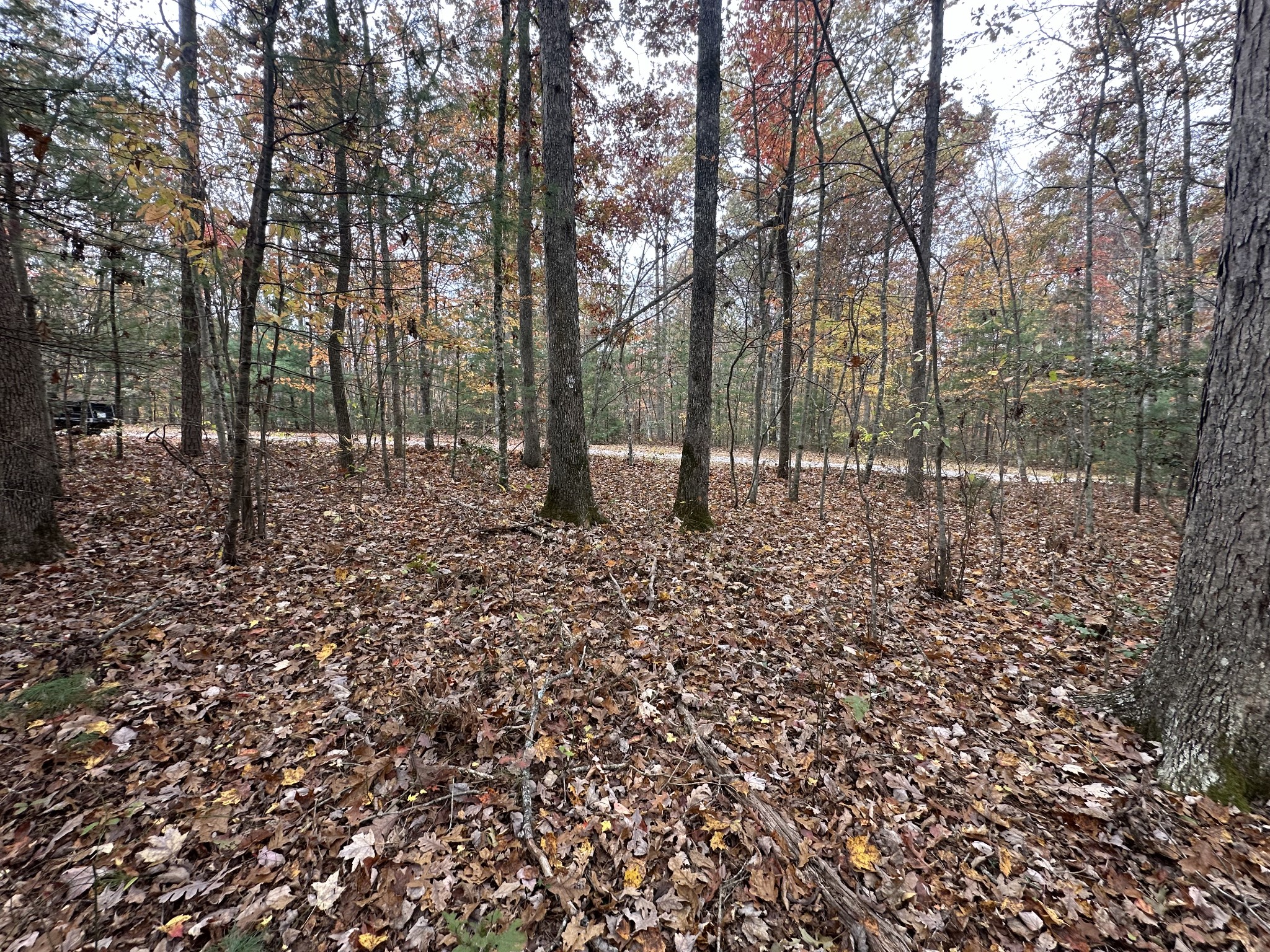 0 Doe Ridge Lane Property Photo 8