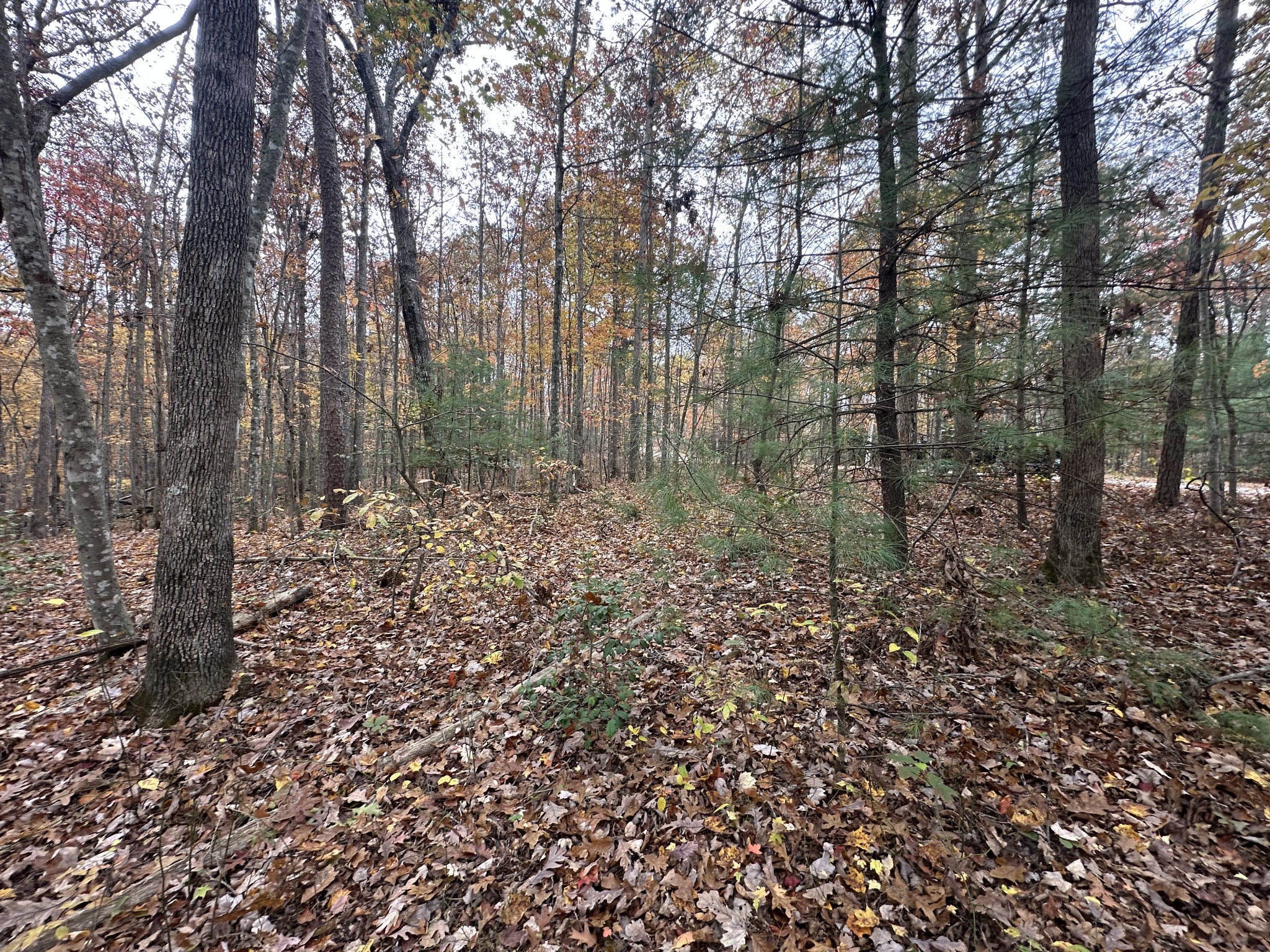 0 Doe Ridge Lane Property Photo 10