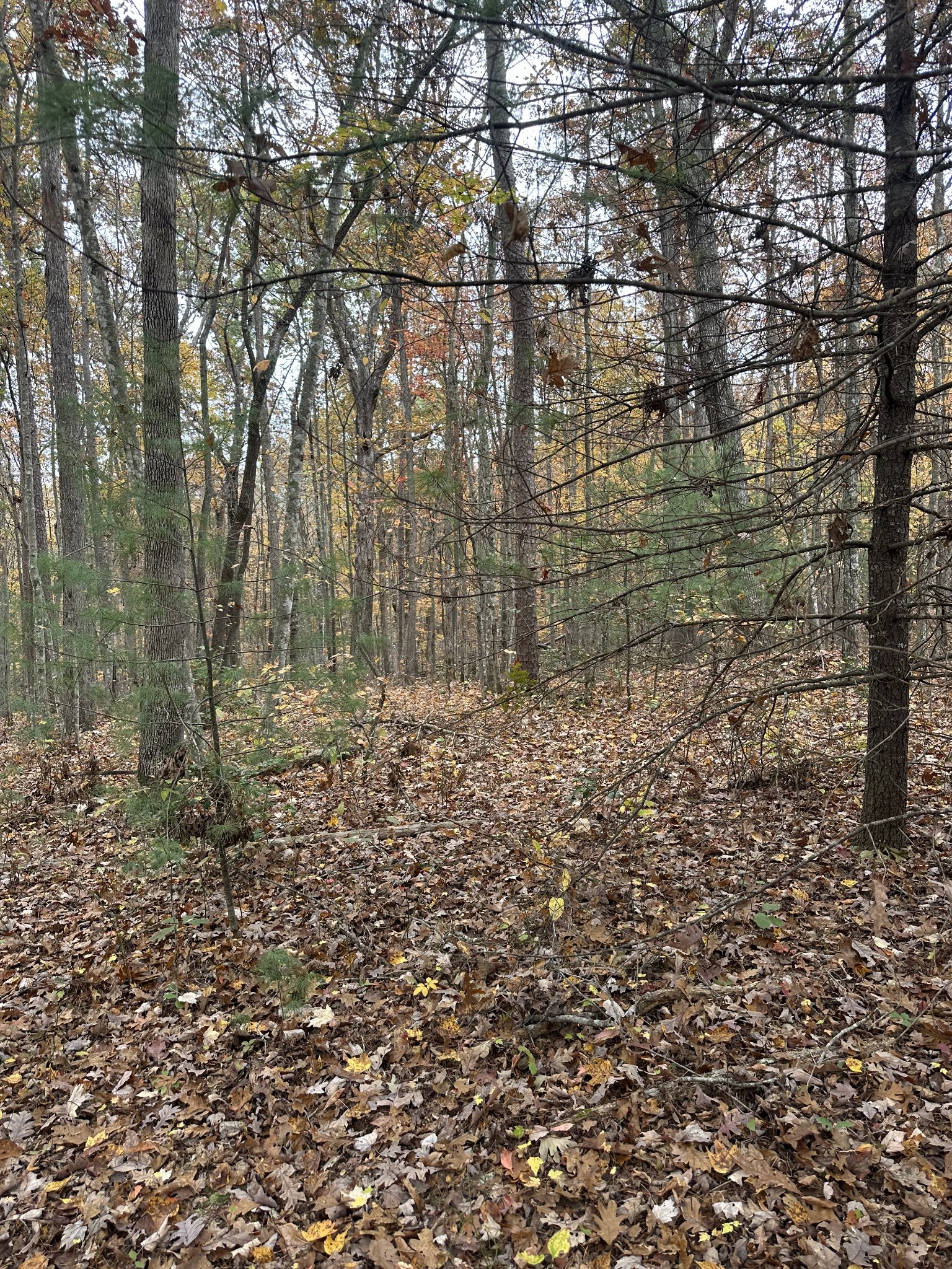 0 Doe Ridge Lane Property Photo 13