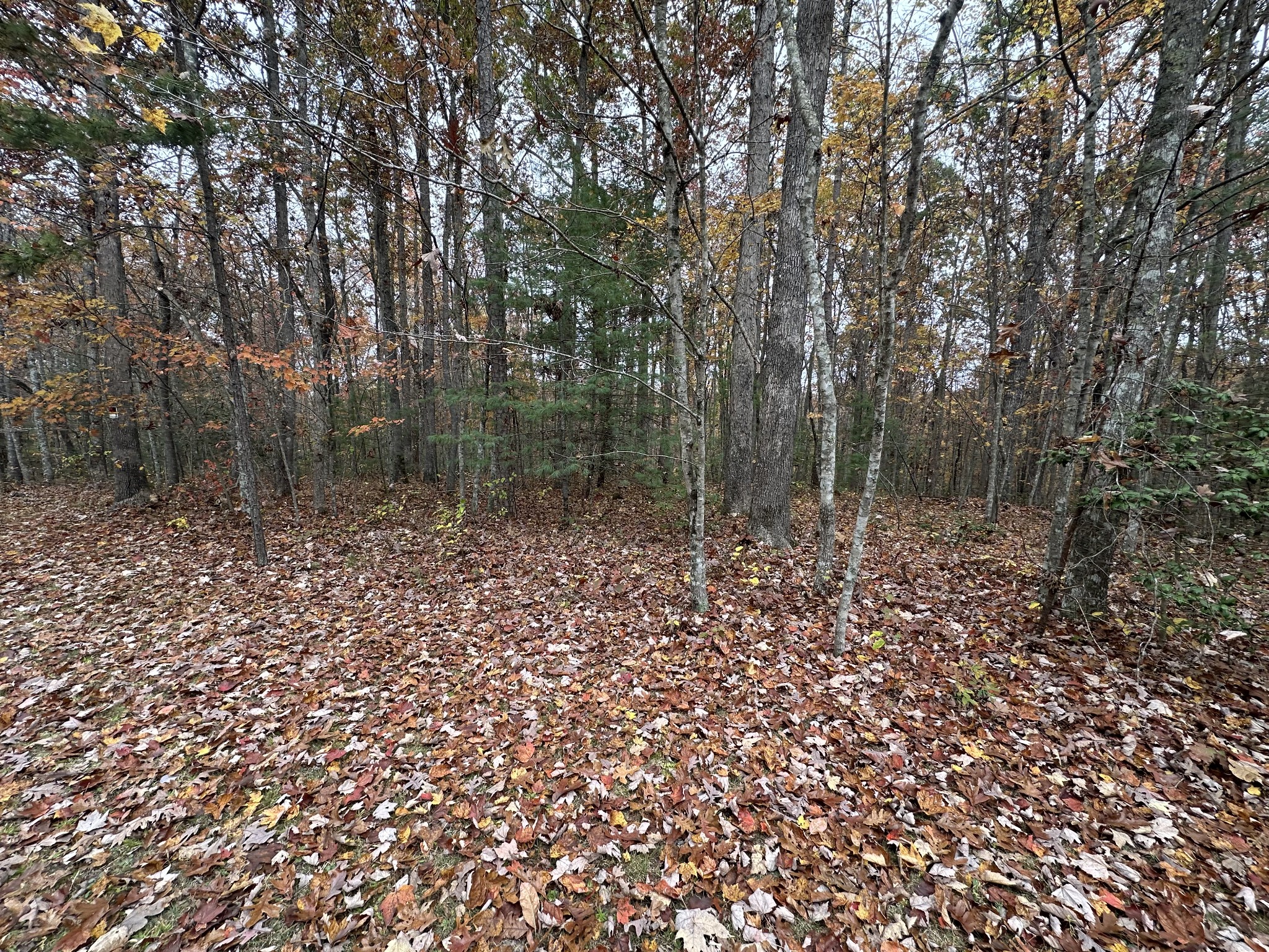 0 Doe Ridge Lane Property Photo 15