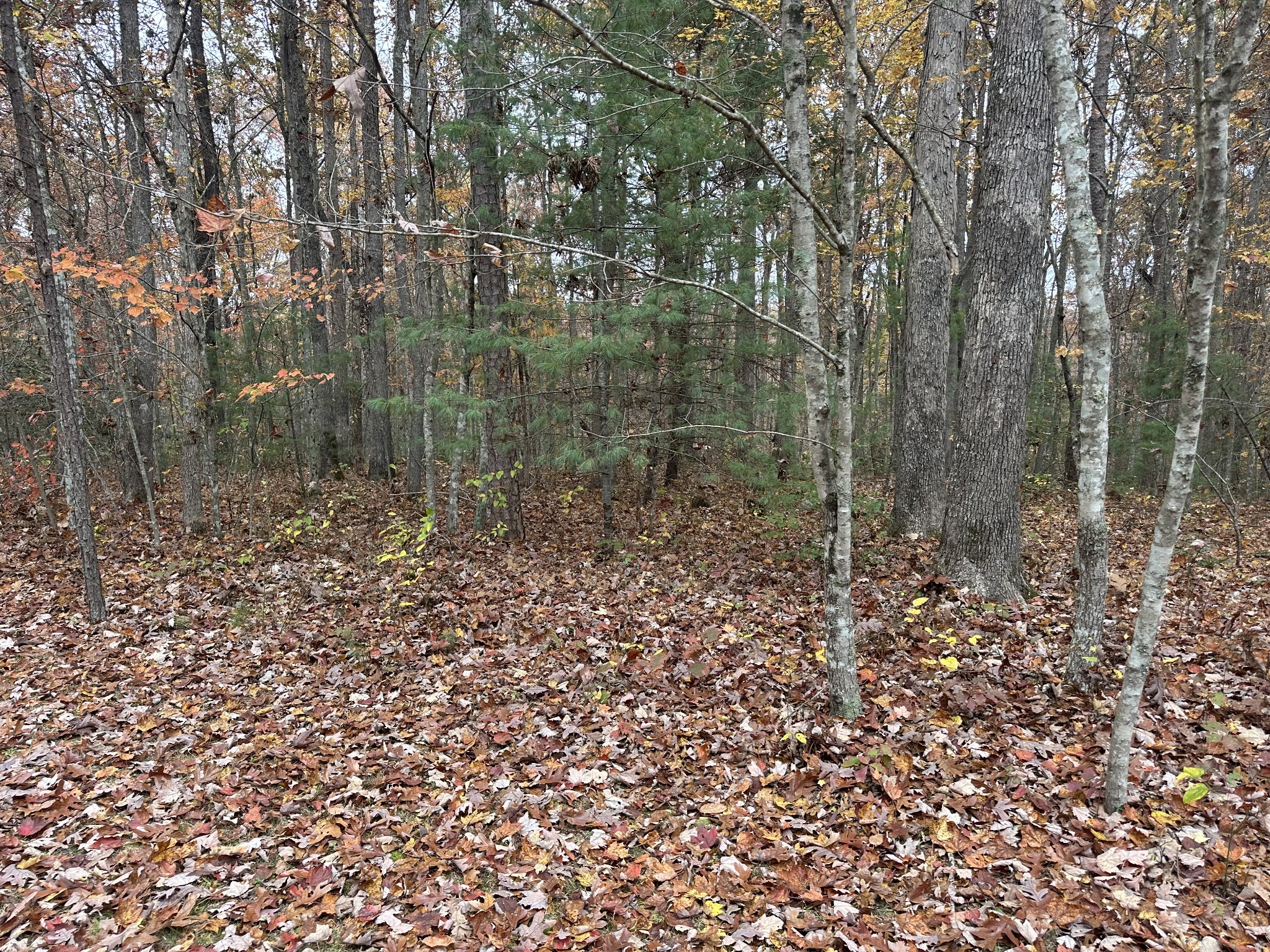 0 Doe Ridge Lane Property Photo 16