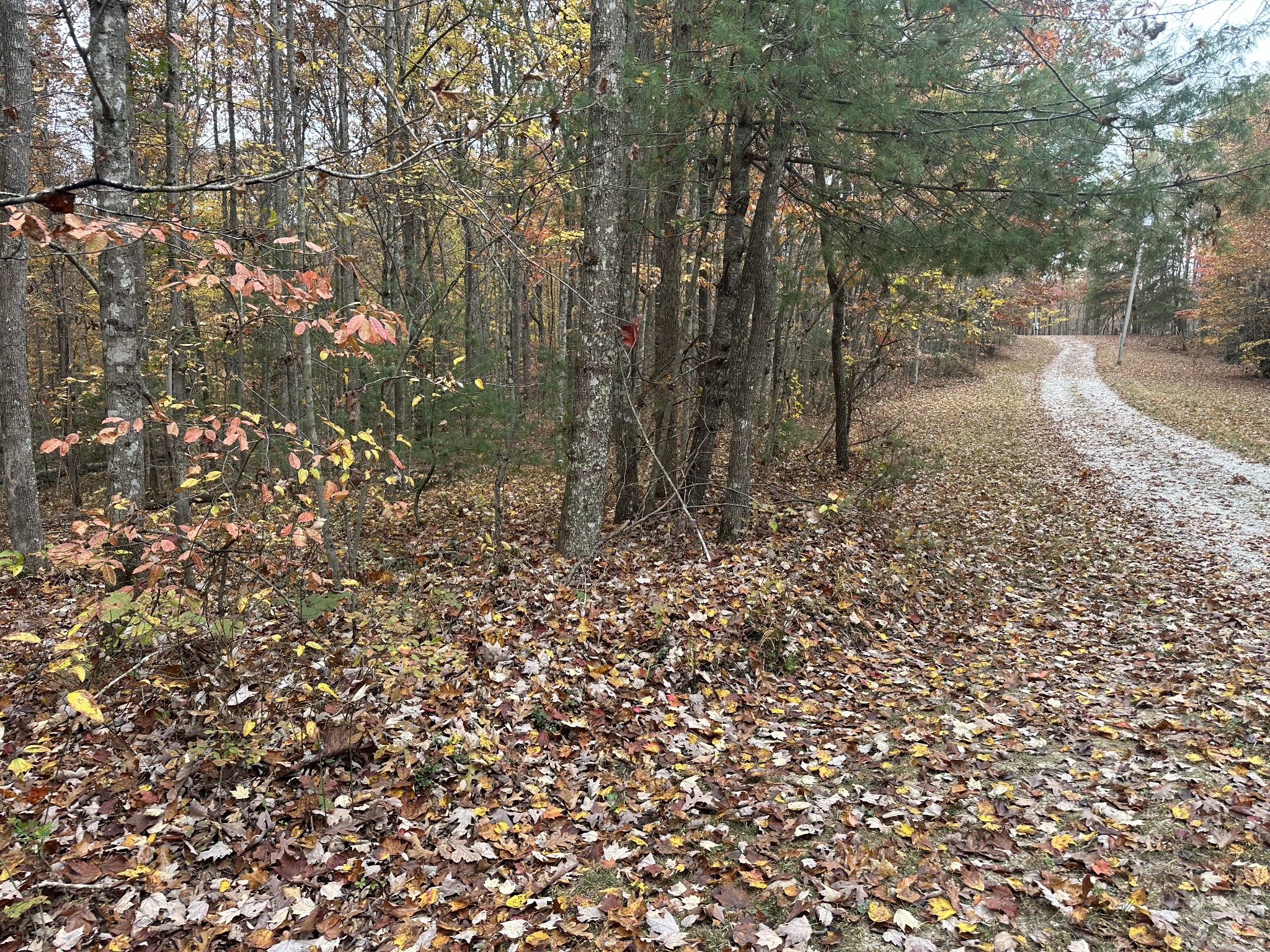 0 Doe Ridge Lane Property Photo 17