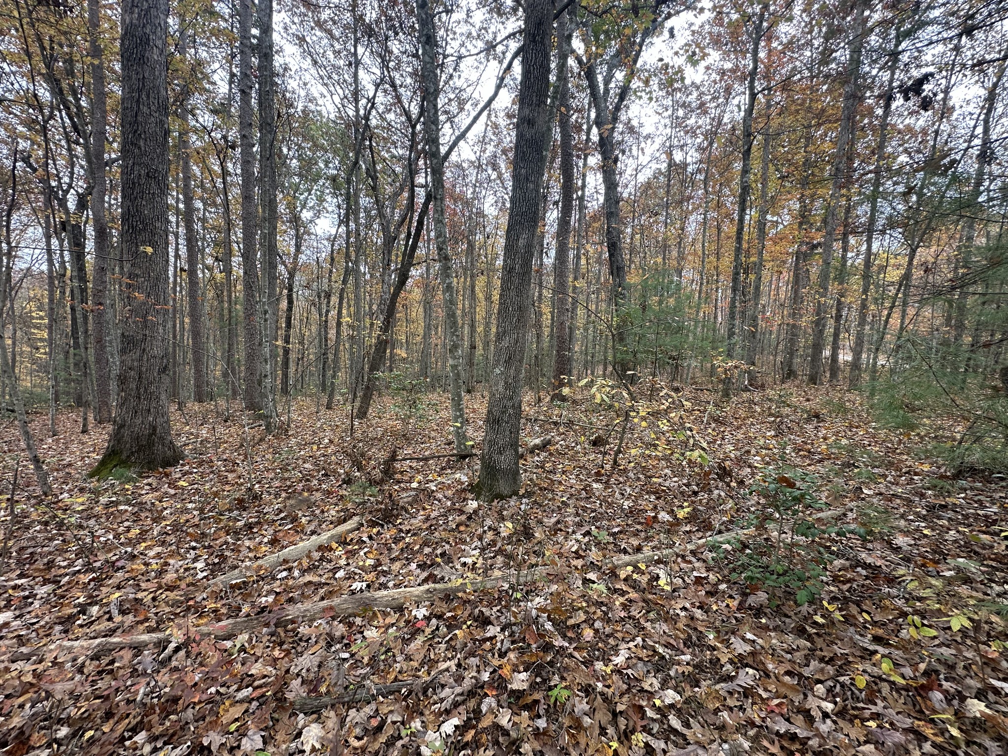 0 Doe Ridge Lane Property Photo 20