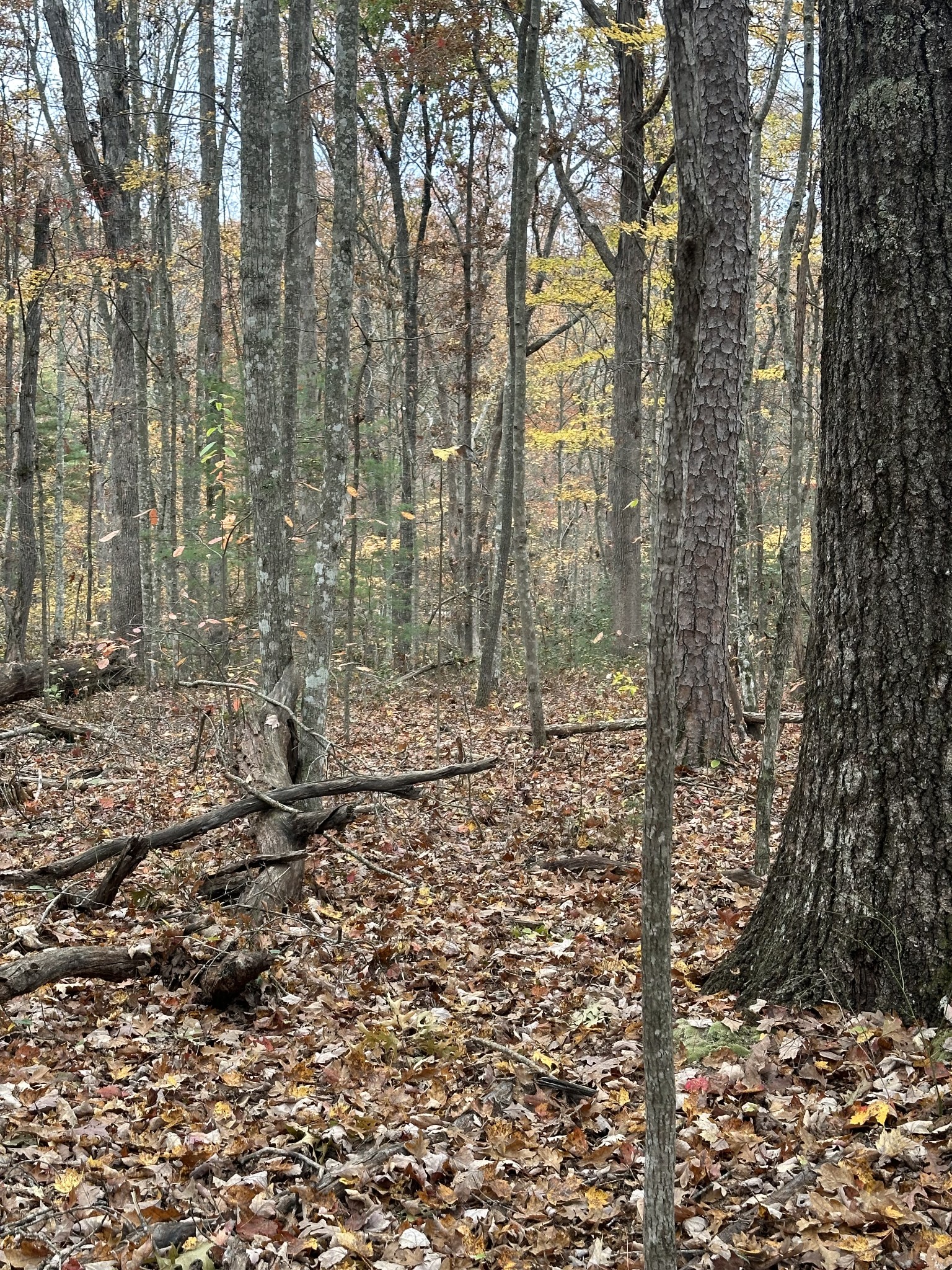 0 Doe Ridge Lane Property Photo 22