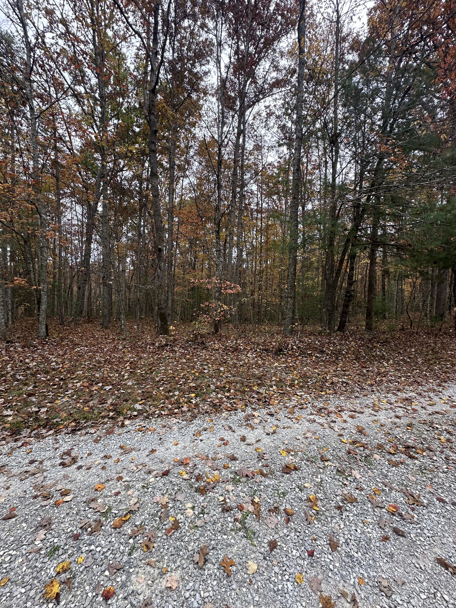 0 Doe Ridge Lane Property Photo 25
