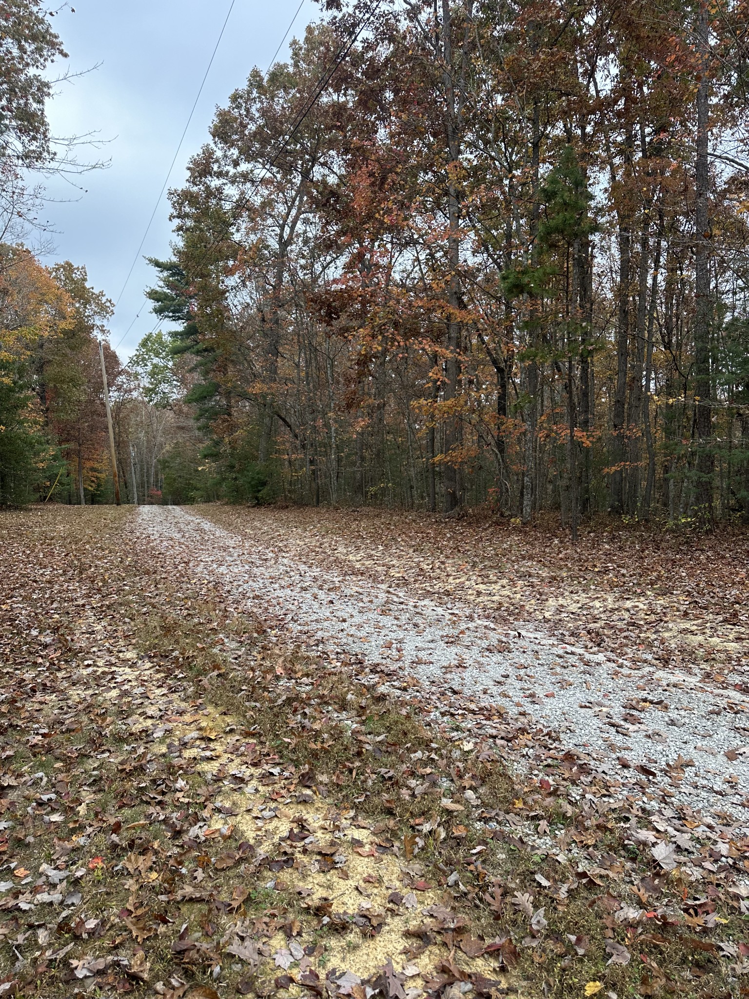 0 Doe Ridge Lane Property Photo 26