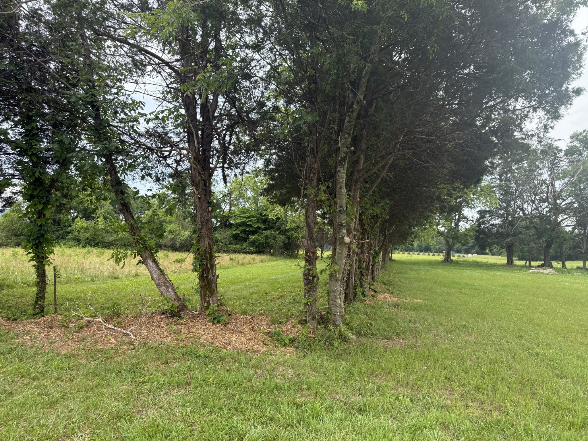 2120 Hamilton Chambers Rd Property Photo 57