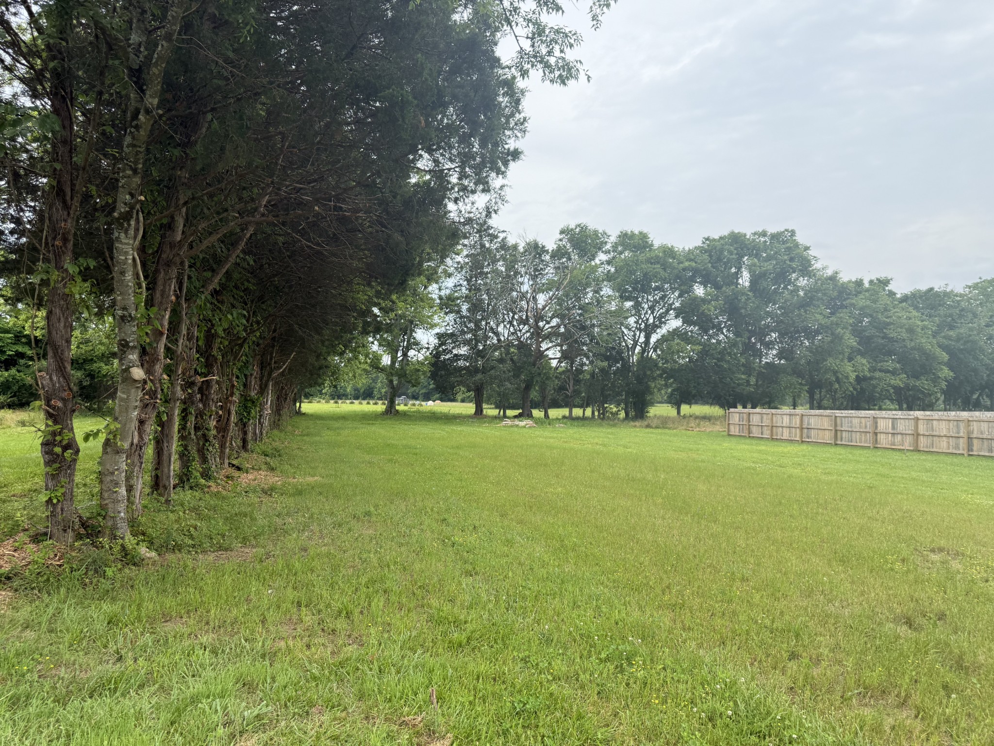 2120 Hamilton Chambers Rd Property Photo 58