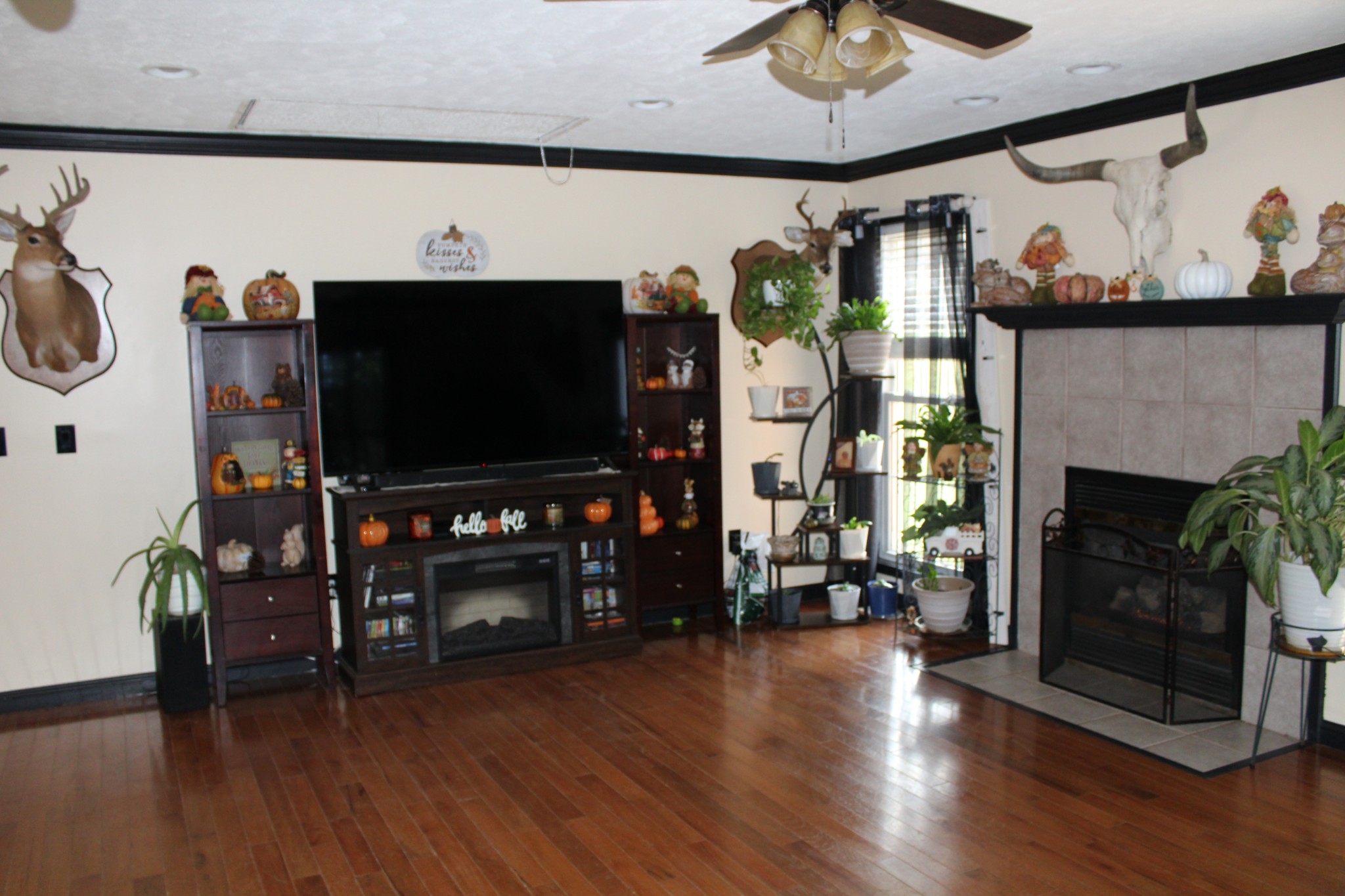409 Westwood Dr Property Photo 3