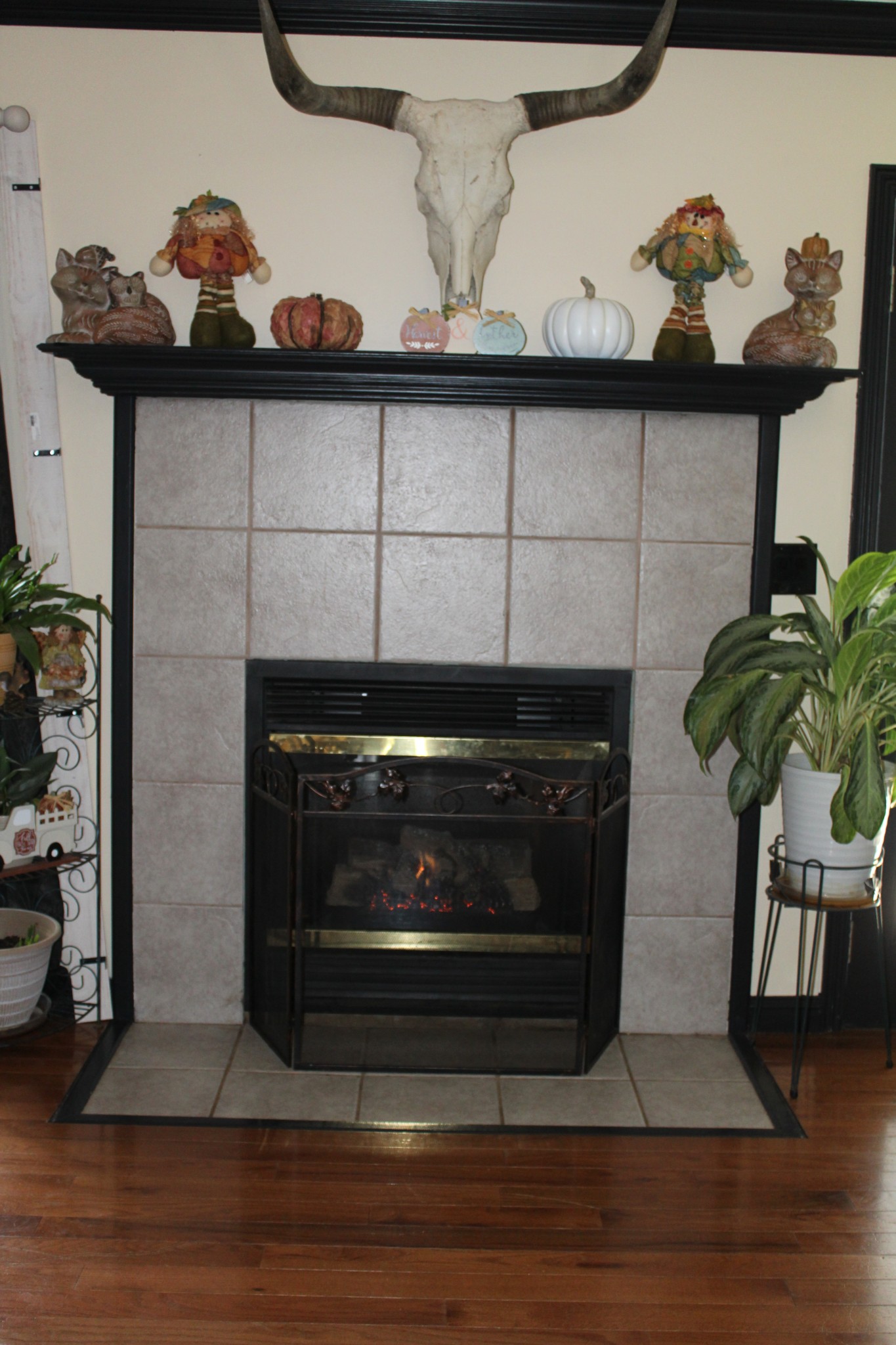 409 Westwood Dr Property Photo 4