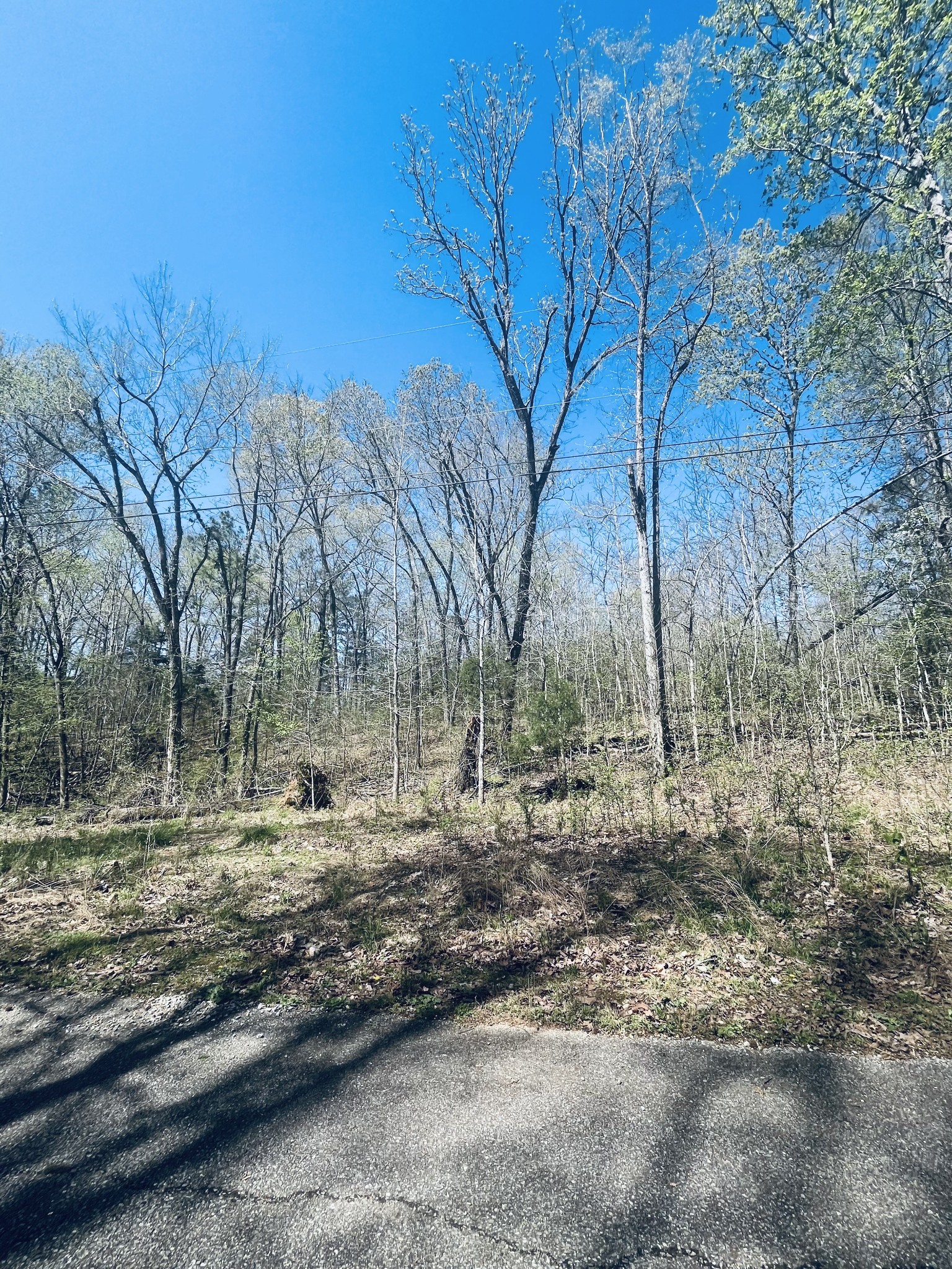 0 Iron Horse Trail Property Photo 1