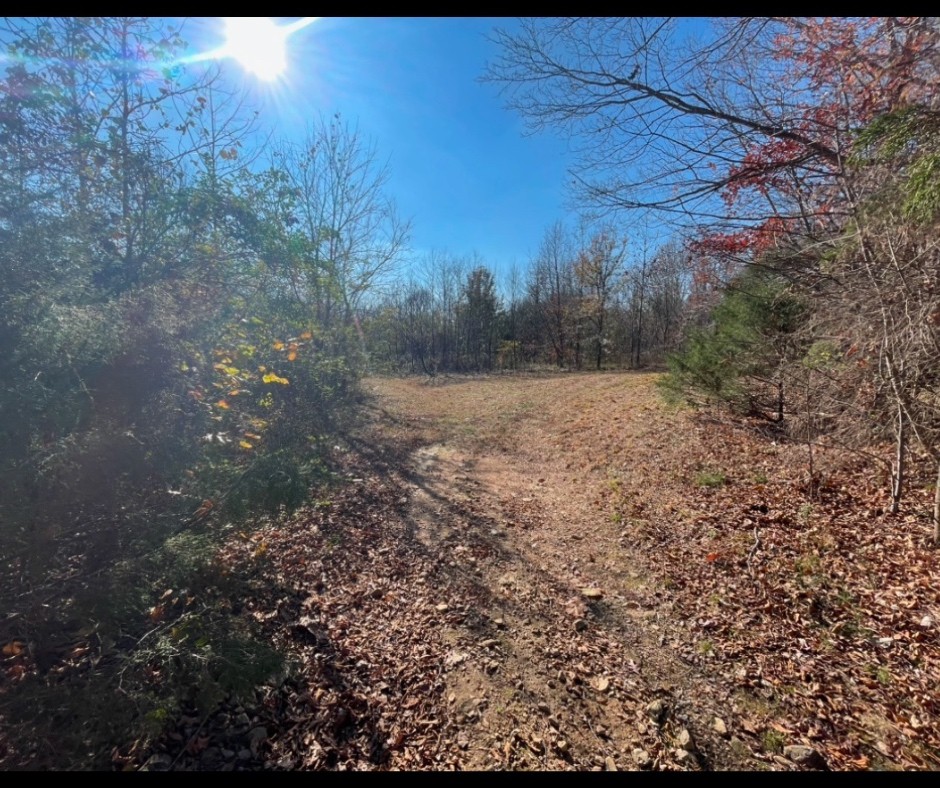 0 Ivy Hollow Property Photo 2