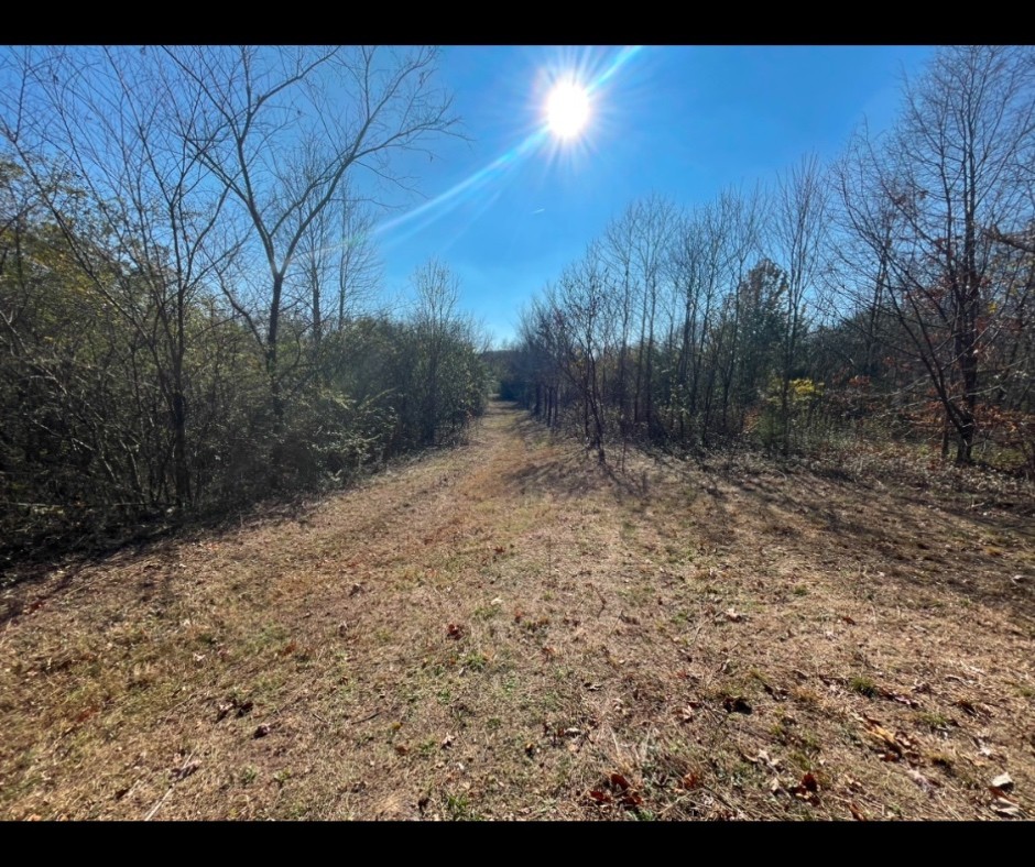 0 Ivy Hollow Property Photo 3