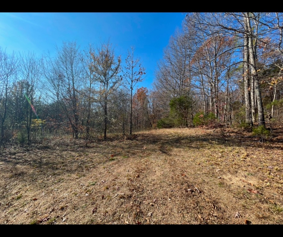 0 Ivy Hollow Property Photo 4