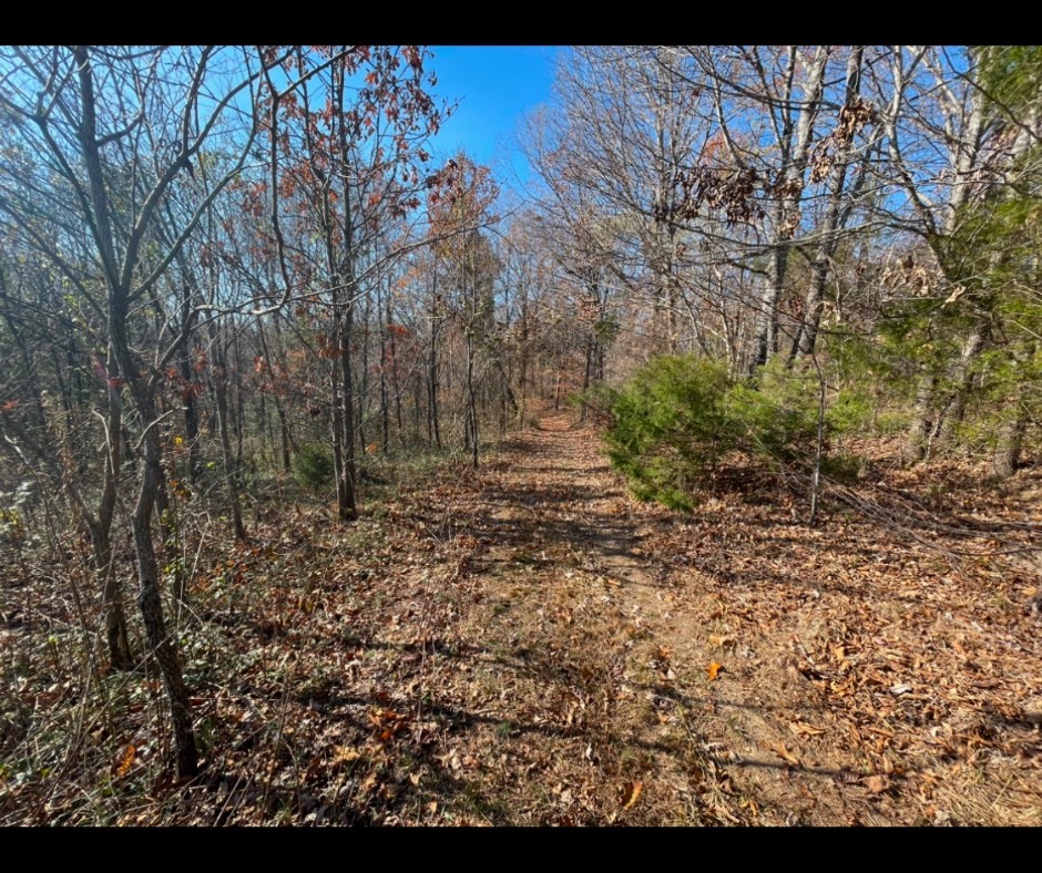 0 Ivy Hollow Property Photo 5