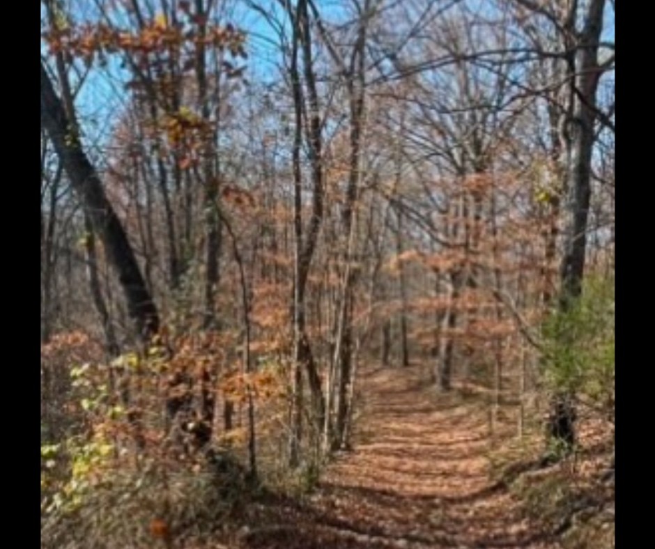 0 Ivy Hollow Property Photo 6
