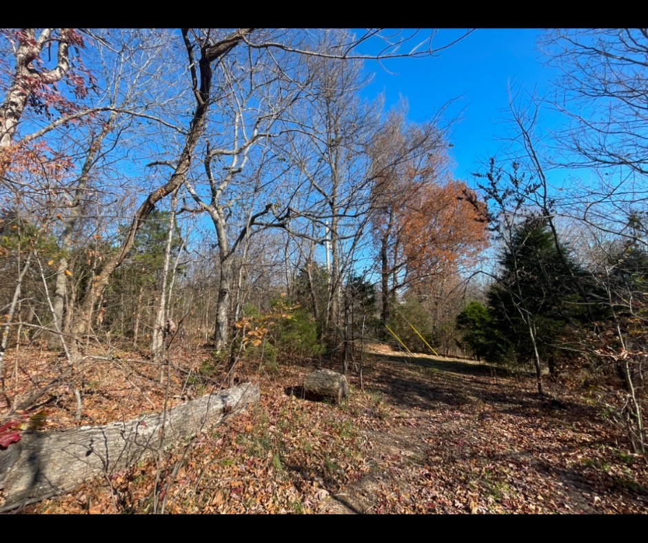 0 Ivy Hollow Property Photo 8