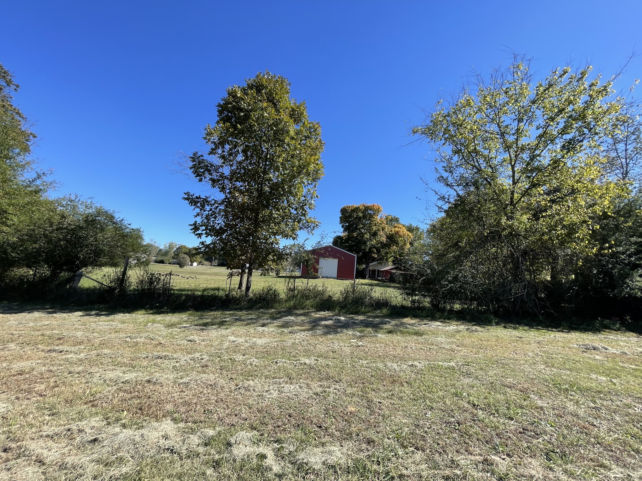 1361 Highway 100 Property Photo 5