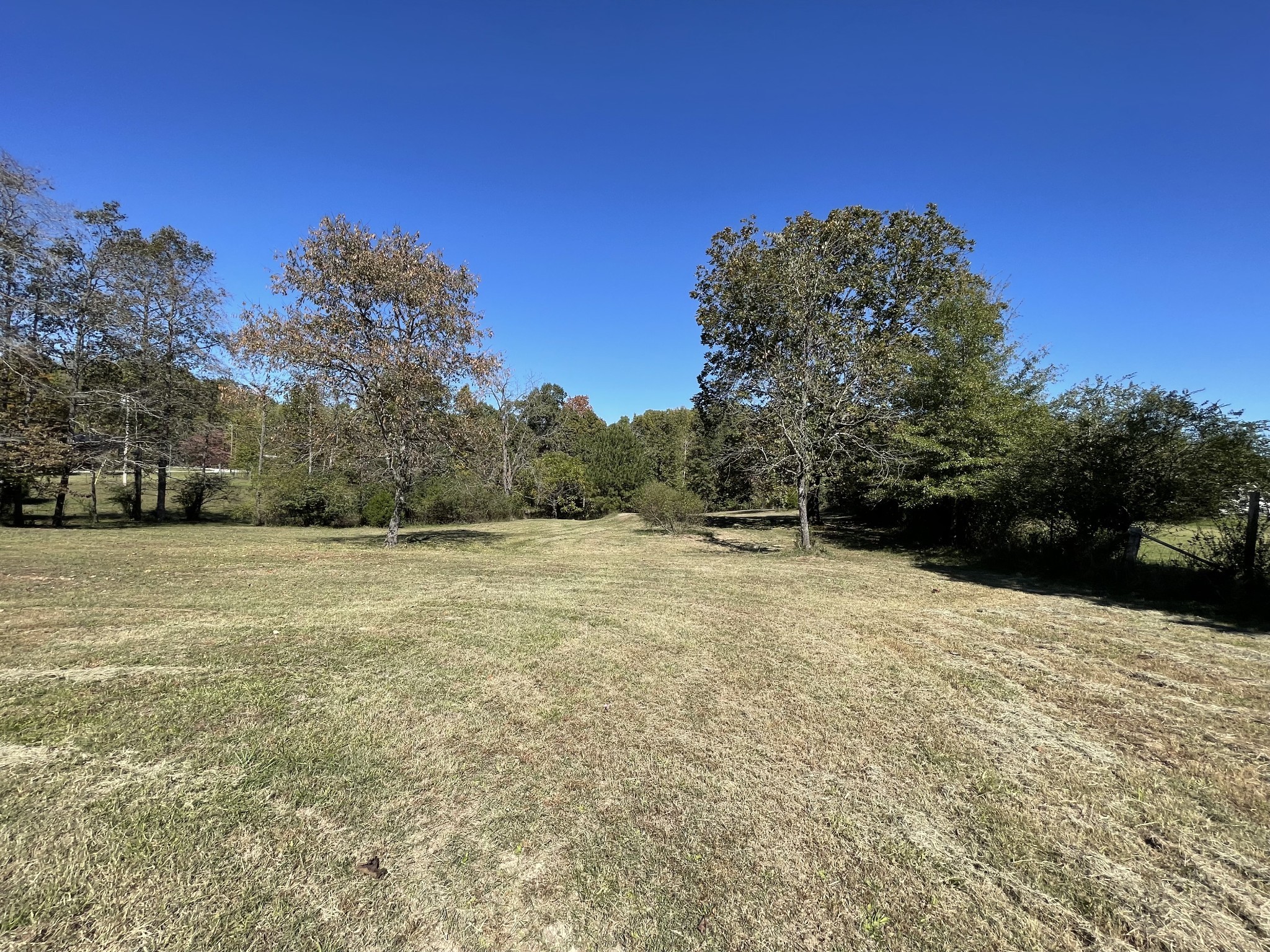 1361 Highway 100 Property Photo 6