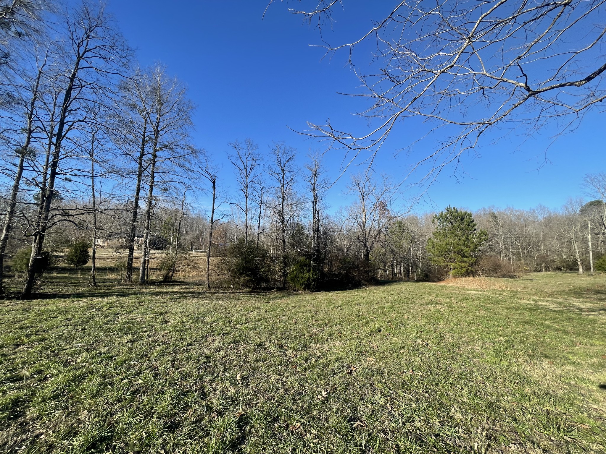 1361 Highway 100 Property Photo 10