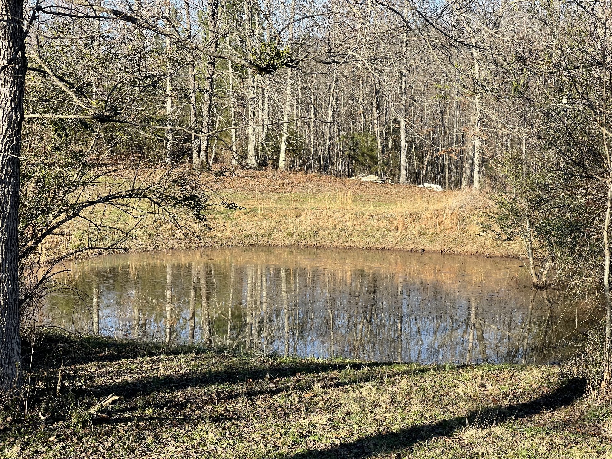 1361 Highway 100 Property Photo 11