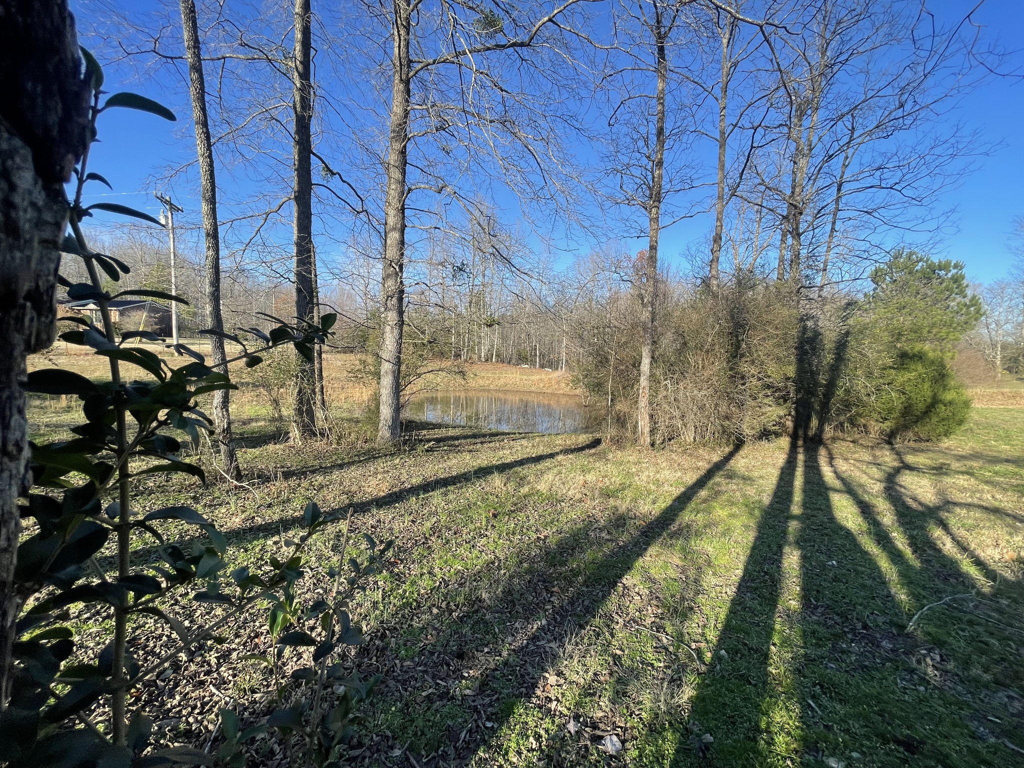1361 Highway 100 Property Photo 12