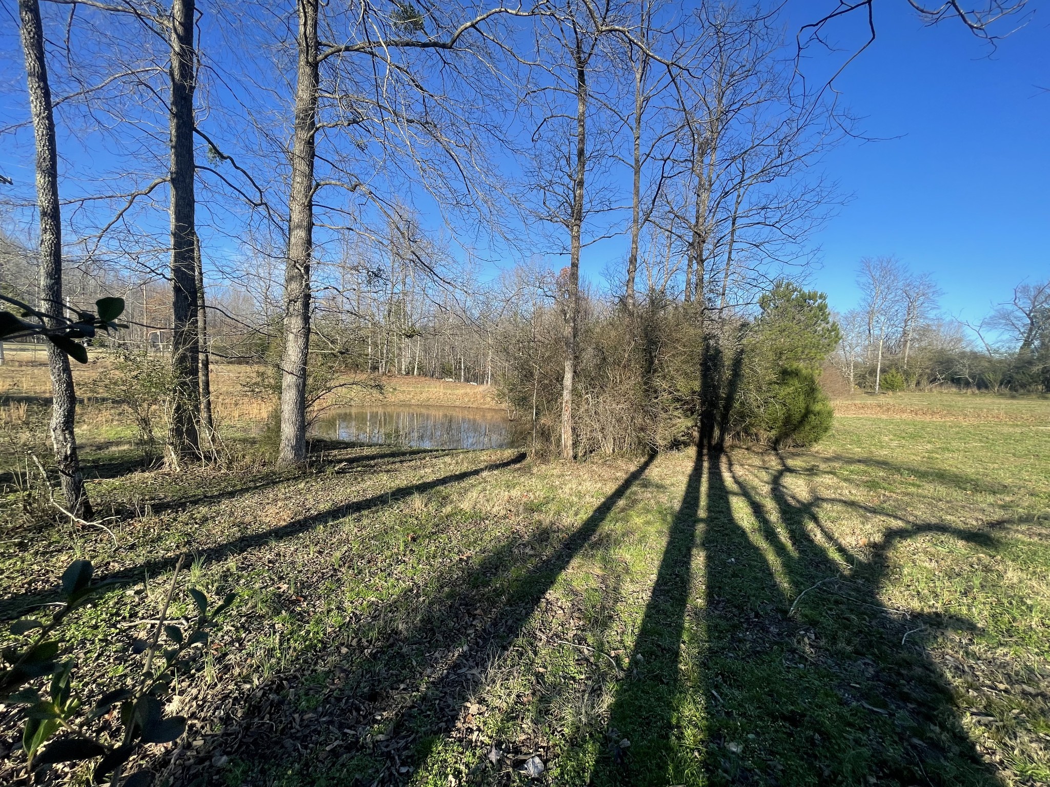 1361 Highway 100 Property Photo 13
