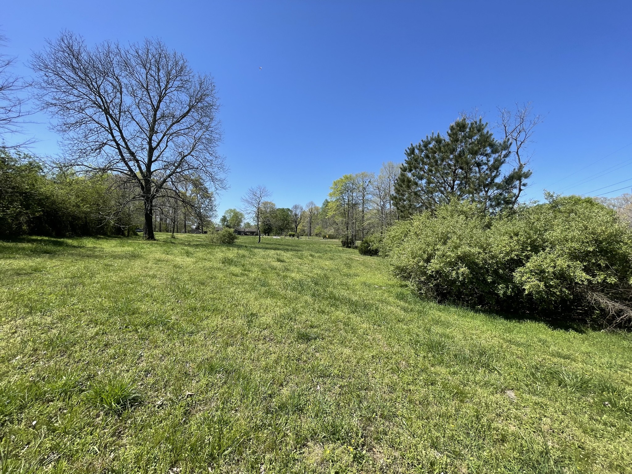1361 Highway 100 Property Photo 17