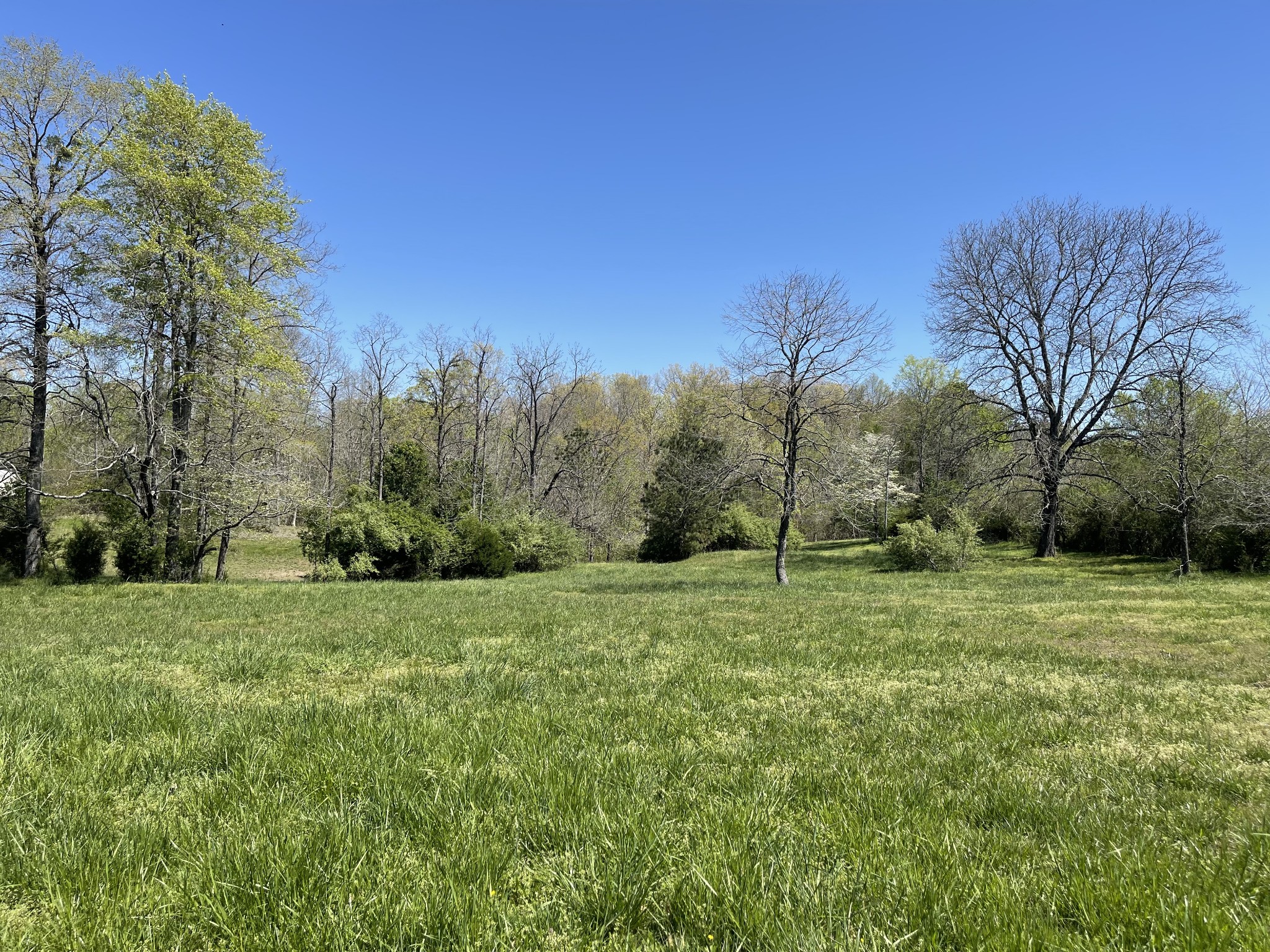 1361 Highway 100 Property Photo 18