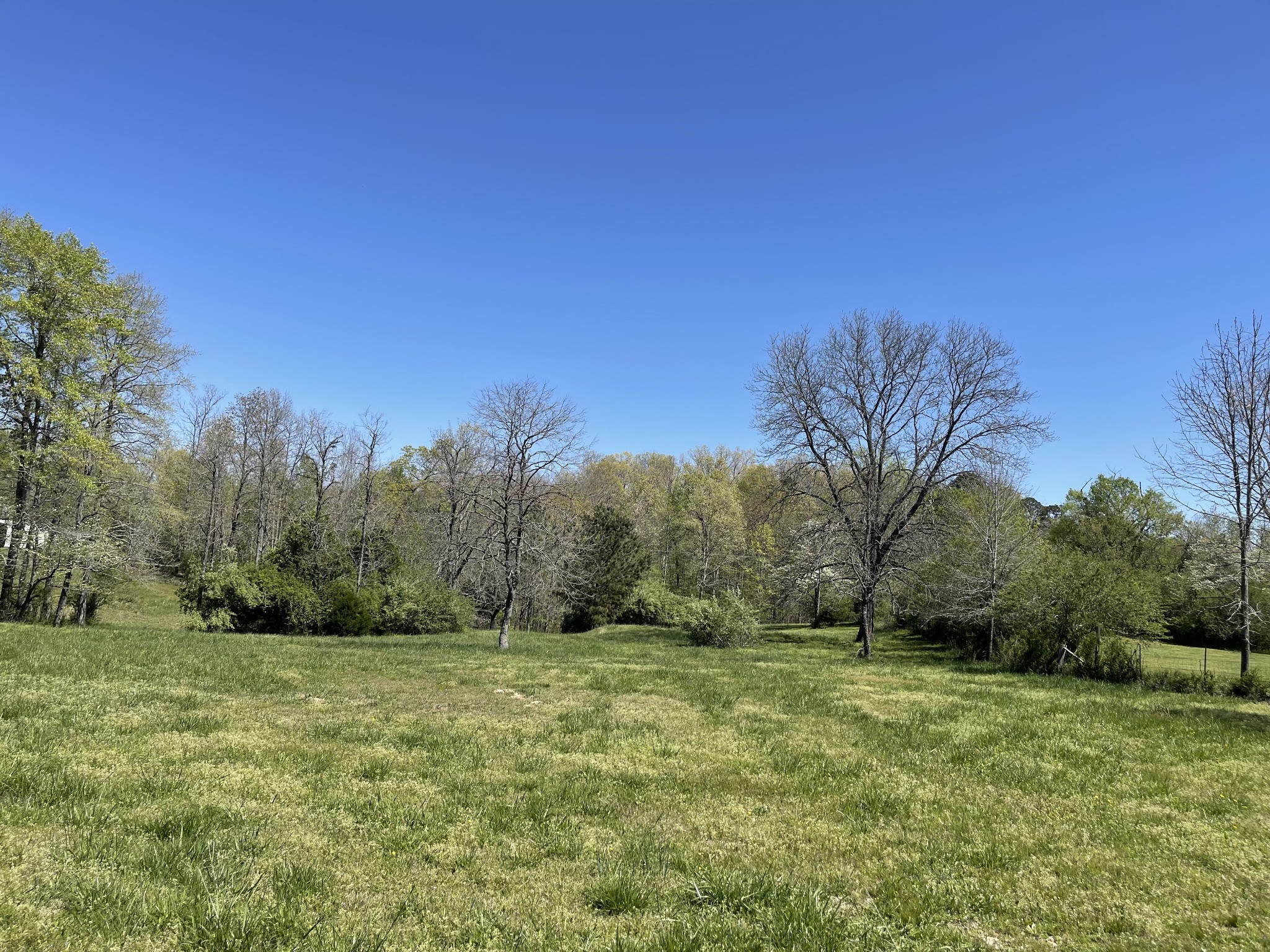 1361 Highway 100 Property Photo 19