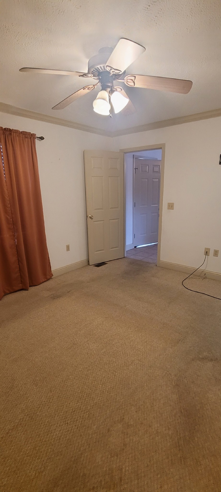 710 Woodlawn Shores Rd Property Photo 15
