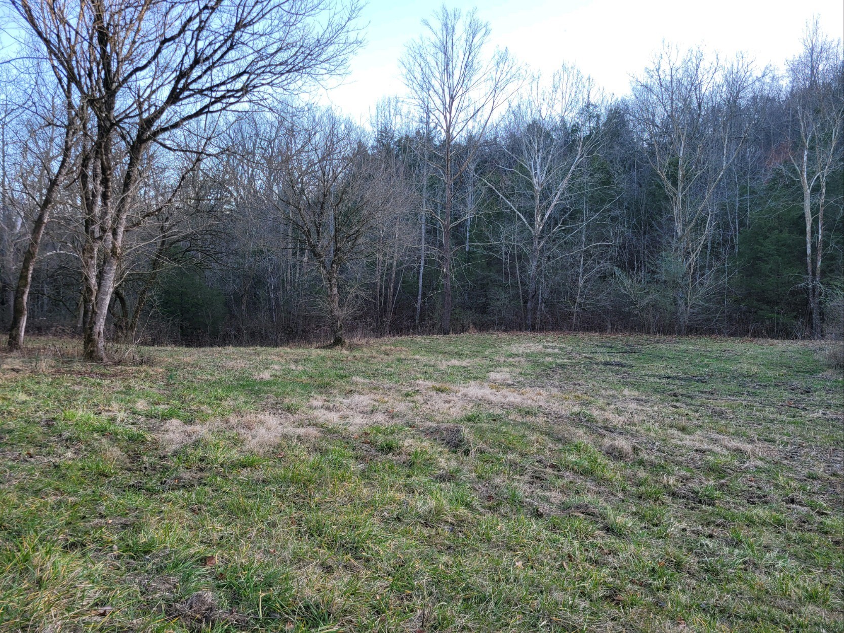 0 Hannah Br Rd Property Photo 1