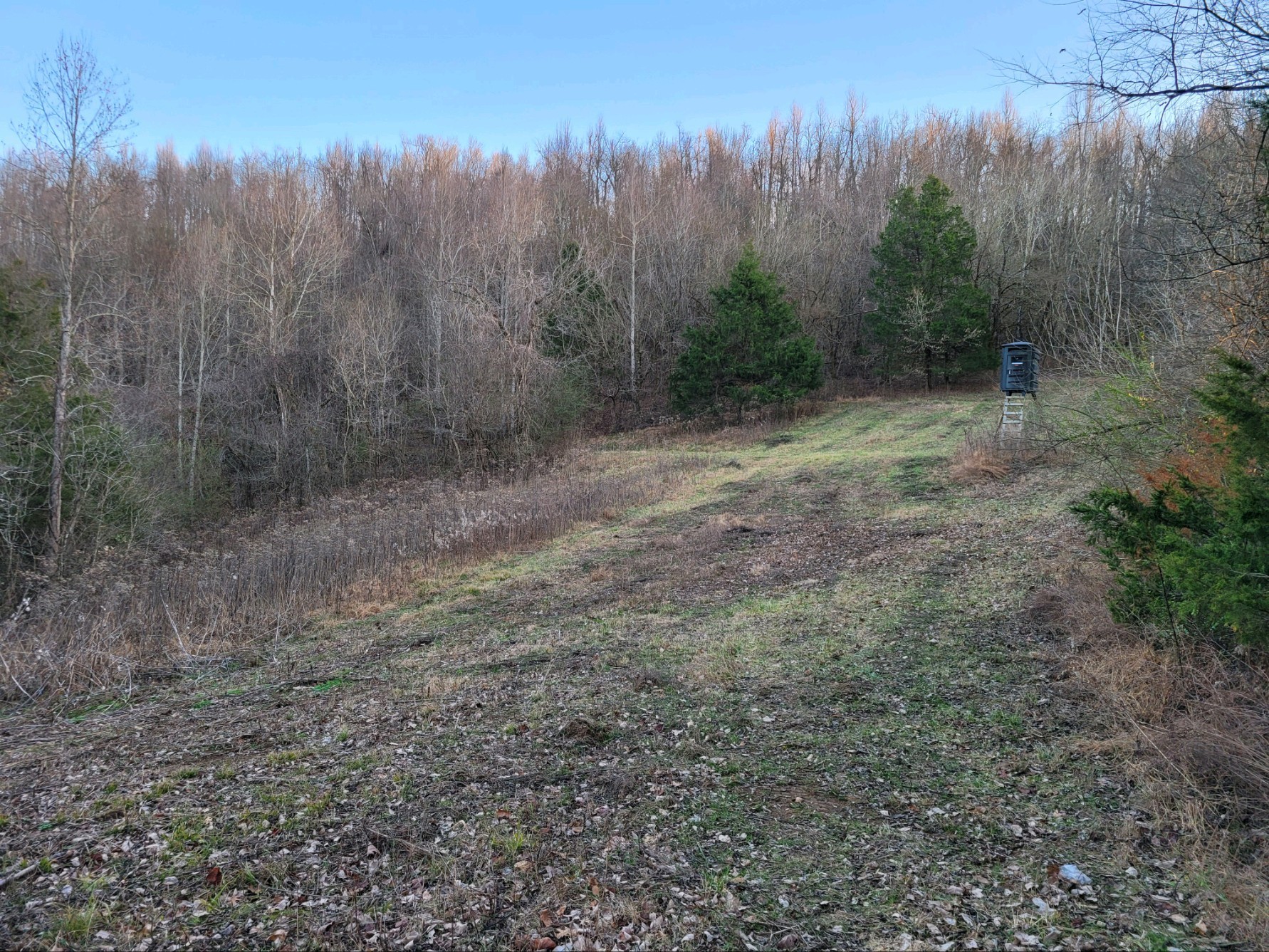 0 Hannah Br Rd Property Photo 3